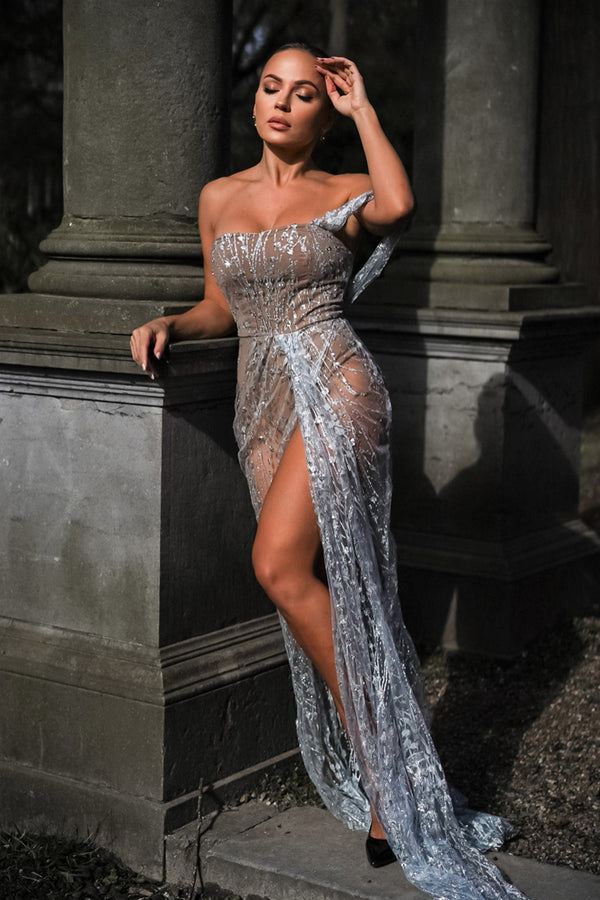 Everly Glitter Mesh Maxi Dress - Bellabarnett